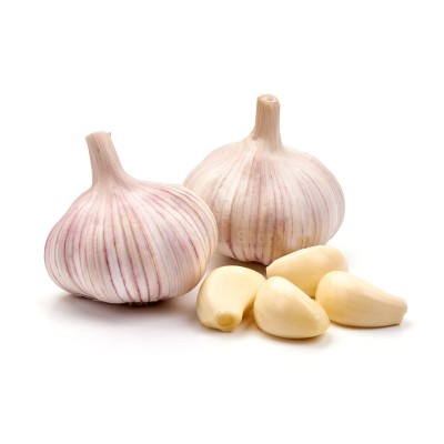 Чеснок крупный 1 кг - купить в Центральной Усадьбе