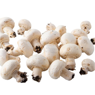 Шампиньоны свежие 500 г - купить в Центральной Усадьбе